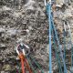 020 Via Tintin Moles Don Arnes Rocjumper