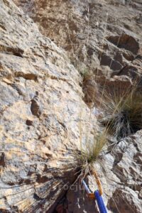 L3 - Vía dos birras i unes braves - Lo Peladet - Rúbies - RocJumper