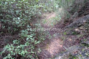 Escape - Barranc de Set - El Violsell - RocJumper