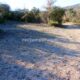 003 Barranc Morrera Santa Linya Rocjumper