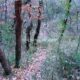 003 Barranc Polvori Vell Sant Corneli Rocjumper