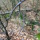 004 Barranc Polvori Vell Sant Corneli Rocjumper