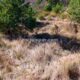 006 Barranc Polvori Nou Sant Corneli Rocjumper