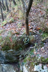R1 - Torrent del Polvorí Vell - Sant Corneli - RocJumper