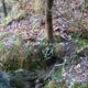 006 Barranc Polvori Vell Sant Corneli Rocjumper