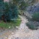 006 Canal Roca Regina Llimiana Rocjumper