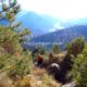 008 Barranc Polvori Nou Sant Corneli Rocjumper