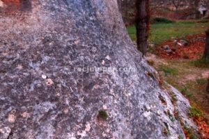 Flanqueo con químicos - Vía Ferrata Zarzalar - Nerpio - RocJumper
