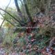 009 Barranc Polvori Vell Sant Corneli Rocjumper