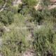 009 Via Ferrata Gontar Rocjumper