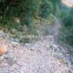 011 Canal Roca Regina Llimiana Rocjumper