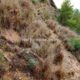 011 Via Ferrata Callejones Gato Paso Gato Orihuela Rocjumper