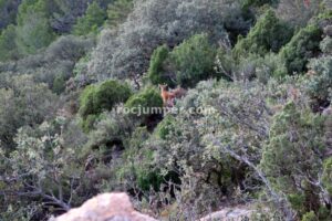 011 Via Ferrata Miradors Vistabella Maestrat Rocjumper