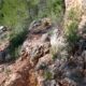 011 Via Ferrata Pas Cabreds Tavernes Valldigna Rocjumper