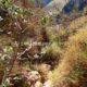 012 Barranc Polvori Nou Sant Corneli Rocjumper