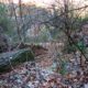 012 Barranc Polvori Vell Sant Corneli Rocjumper