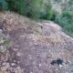 012 Canal Roca Regina Llimiana Rocjumper