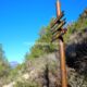 012 Via Ferrata Falconera Marxuquera Rocjumper