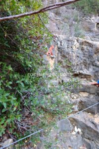 R2 - Barranc de la Morrera - Santa Linya - RocJumper