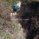 013 Barranc Polvori Nou Sant Corneli Rocjumper