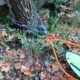 013 Barranc Polvori Vell Sant Corneli Rocjumper
