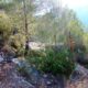 013 Via Ferrata Falconera Marxuquera Rocjumper