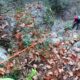014 Barranc Polvori Vell Sant Corneli Rocjumper