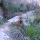 014 Camino Equipado Barranco Tranco Villel Rocjumper