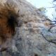 014 Via Ferrata Cueva Mona Linares Mora Rocjumper
