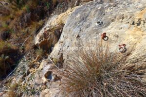 R2 - Torrent del Polvorí Nou - Sant Corneli - RocJumper