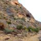 015 Via Ferrata Callejones Gato Paso Gato Orihuela Rocjumper