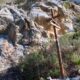 015 Via Ferrata Falconera Marxuquera Rocjumper