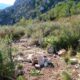 015 Via Ferrata Pas Cabreds Tavernes Valldigna Rocjumper