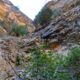 016 Barranc Morrera Santa Linya Rocjumper