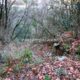 016 Barranc Polvori Vell Sant Corneli Rocjumper