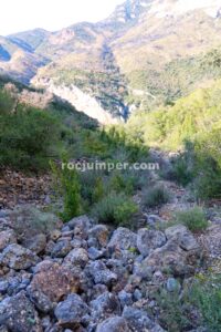 Tartera - Barranc Vinyes de Rúbies - RocJumper