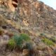 016 Via Ferrata Callejones Gato Paso Gato Orihuela Rocjumper