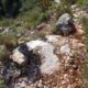 016 Via Ferrata Pas Cabreds Tavernes Valldigna Rocjumper