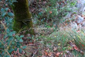 R4 - Torrent del Polvorí Vell - Sant Corneli - RocJumper