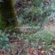 017 Barranc Polvori Vell Sant Corneli Rocjumper