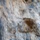 017 Via Ferrata Cueva Mona Linares Mora Rocjumper