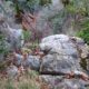 018 Barranc Polvori Vell Sant Corneli Rocjumper