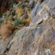 018 Via Ferrata Callejones Gato Paso Gato Orihuela Rocjumper