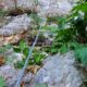 018 Via Ferrata Zuheros Rocjumper