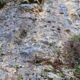 019 Barranc Polvori Vell Sant Corneli Rocjumper
