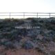 019 Via Ferrata Aguasvivas Samper Salz Rocjumper