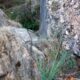 020 Barranc Morrera Santa Linya Rocjumper