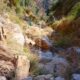 020 Barranc Polvori Nou Sant Corneli Rocjumper