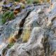 020 Via Ferrata Callejones Gato Paso Gato Orihuela Rocjumper