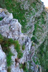 Enlace - Vía Ferrata Penya Llisa - Parcent - RocJumper